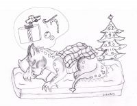 Christmas dream